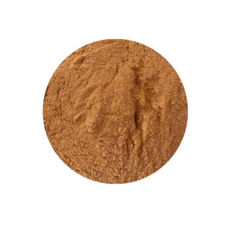 Cordyceps Militaris Powder in Bulk