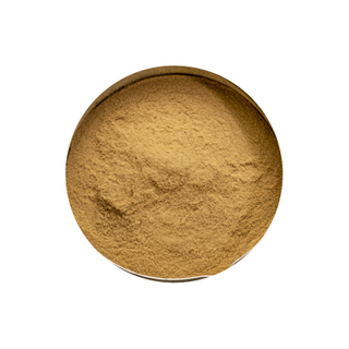 Cordyceps Militaris Powder in Bulk