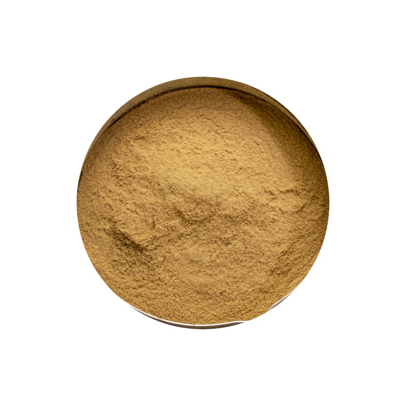 Cordyceps Militaris Powder in Bulk